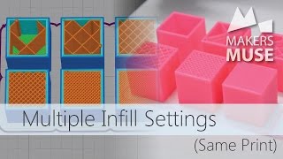 Multiple Infills in the same 3D Print using Simplify3D [upl. by Wilde]