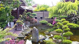 THE MOST BEAUTIFUL BACKYARD FISH POND IN THE WORLD  Garden Designs Part 1 [upl. by Kram]