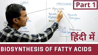 Fatty acid synthesis in Hindi  Part 1 [upl. by Altheta54]