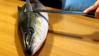 YELLOWTAIL AMBERJACK Sashimi  Sushi  Taiwanese Street Food [upl. by Alol]