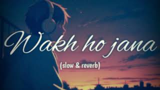 Wakh Ho Jana  Lofi Song Slow amp Reverb Gurnam Bullar [upl. by Freiman395]