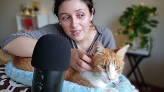 ASMR Cat Pampering 😽 purring brushing soft whispers [upl. by Aisha]