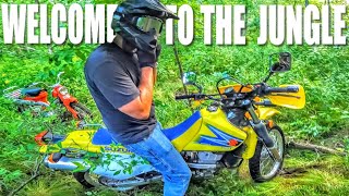 KLR Guy Test Rides DR 650 Instant Regret [upl. by Lunsford]