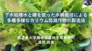 下水処理水と礫を使った水耕栽培による多種多様なカリウム低減作物の製造法（鹿児島大学渡辺由香） [upl. by Nester]