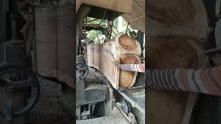 Kayu Trembesi melon loreng 3wood sawmill [upl. by Mitchel]