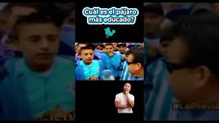 Cuál es el pájaro más educado humor comedia laprevia adivinanza [upl. by Corydon]