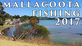 The Mallacoota Victoria Fishing Experience 2017 [upl. by Nagard]