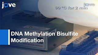 DNA Methylation Bisulfite Modification And Analysis [upl. by Ahsilef295]