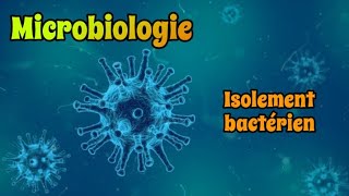 Microbiologie I Isolement bactérien sur Milieu sélectif et différentiel  5éme vidéo [upl. by Norit]