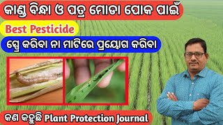 Paddy Stem Borer Control Best Pesticide ସ୍ପ୍ରେ କରିବା ନା ମାଟିରେ ପ୍ରୟୋଗ କରିବା [upl. by Reinhart]