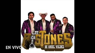 Los Pistones De Uriel Valdez CD En Vivo 2018 [upl. by Rosmunda524]