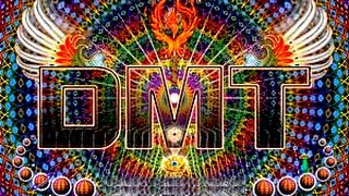 DMT by ♫ Anxioüs ♫ a Progressive Mix Best of Neelix with awesome visual effects [upl. by Spence241]