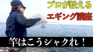 【エギング】プロのシャクリ方を紹介します（エンドタップジャーク）EngsubHow to move the rod for squid fishing Eging [upl. by Jollenta]