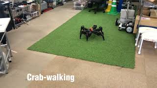 DIY hexapod in various movements [upl. by Nore]