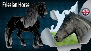 FRIESIAN HORSE horses which are part of the cultural heritage of the Netherlands HORSE BREEDS [upl. by Lorrad]