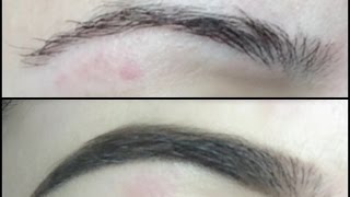 LONGEST Lasting Waterproof Eyebrow Routine ft Makeup forever Aqua Brow [upl. by Robbi352]