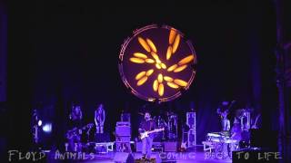 Floyd Animals Pink Floyd Tribute  Coming back to life live [upl. by Erusaert308]