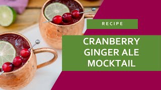 Cranberry Ginger Ale Mocktail [upl. by Sivad]