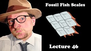 Lecture 46 Fossil Fish Scales [upl. by Airamalegna]