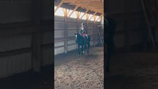 First time cantering on Katy 🥳 horses fyp short viral canter slomo [upl. by Lauhsoj]