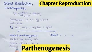 Parthenogenesis  Haploid Parthenogenesis  Diploid Parthenogenesis  Class 12 In Hindi Urdu [upl. by Ranson]