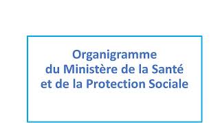 Organigramme du Ministère de la Santé et de la Protection Sociale [upl. by Sert994]