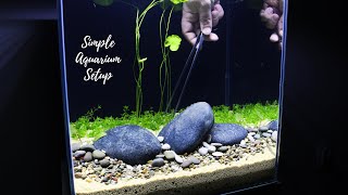 SIMPLE AQUARIUM SETUP  Step By Step  Aquascaping [upl. by Idola]