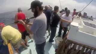 GoPro  Thunderbird Sportfishing x Los Anglers [upl. by Neelac468]