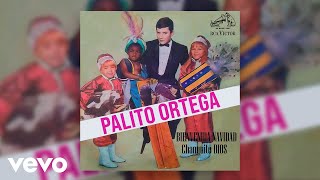 Palito Ortega  Changuito Dios Official Audio [upl. by Yawnoc]