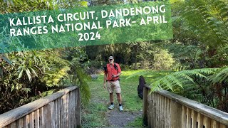 Kallista Circuit Walk Dandenong Ranges National Park  April 2024 [upl. by Ahseikram]