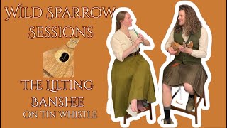 The Lilting Banshee on Penny Whistle  Wild Sparrow Sessions [upl. by Novyaj367]