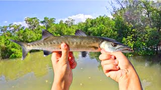 INSHORE Florida EVERGLADES Fishing SLAM Multi Species Caught [upl. by Kentigera]