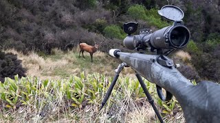 Solo 9 Day Deer Hunting in Search for the GIANT Success [upl. by Esinyt]