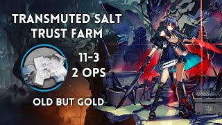 Arknights Transmuted Salt Trust Farm 113 2 Operators [upl. by Ethban]