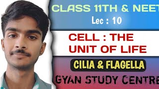 Structure of Cilia amp Flagella Centriole amp CentrosomeBiologyLec 09For 9th11th and entrance exam [upl. by Jemma]