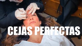 MICROBLADING o MICROPIGMENTACIÃ“N de CEJAS PASO A PASO Â¿Duele Â¿FUNCIONA [upl. by Einhapets273]