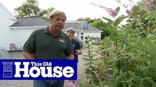 How to Plant a Butterfly Garden  This Old House [upl. by Block]