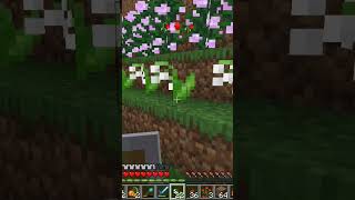 minecraft flowers planting rostliny [upl. by Cymbre]