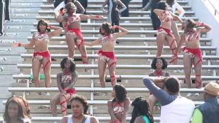 Still Fly  MVSU Marching Band and Satin Dolls [upl. by Mattson345]