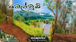 Bellwood Sri Lanka බෙල්වූඩ් පුංචි නවසීලන්තයටVlog 5 [upl. by Lynda]