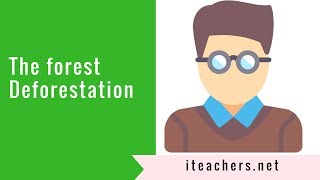 A video presentation on deforestation and the forest [upl. by Allbee381]