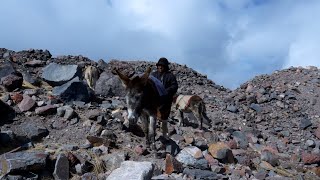 El nuevo hielero del Chimborazo es El Yerno de BaltazarUshca [upl. by Adekan]