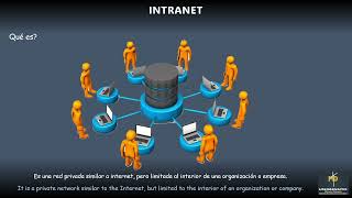 Intranet Internet Extranet [upl. by Festus]