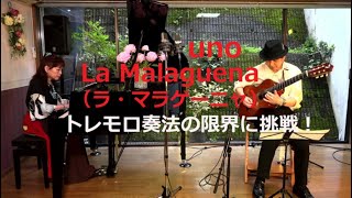 La Maraguenaラ・マラゲーニャ by uno [upl. by Assin446]