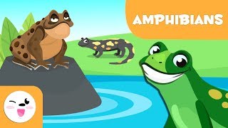 Amphibians for kids  Vertebrate animals  Natural Science For Kids [upl. by Simonsen]