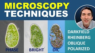 Comparing different Microscopy Techniques [upl. by Nimajeb]