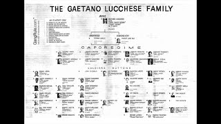 The Old Blood Lucchese Crime Family Thequot Pappadio Brothersquot both Betrayed  Setup and Murdered [upl. by Lhok]