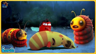 🔴 LARVA FULL EPISODE  THE BEST OF FUNNY CARTOON  CARTOONS MOVIES NEW VERSION  TRY NOT TO LAUGH [upl. by Sedecram]