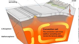 Convection Currents and Tectonic Plate Movement [upl. by Holladay931]