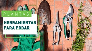 Cómo elegir las mejores herramientas para podar  Jardín en VERDECORA [upl. by Acinahs]